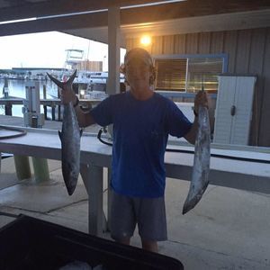 Meet your Posher, Owen